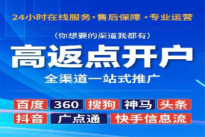 某公司通过百度竞价实现业务快速增长的案例